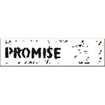 Horizon2020 PROMISE project logo